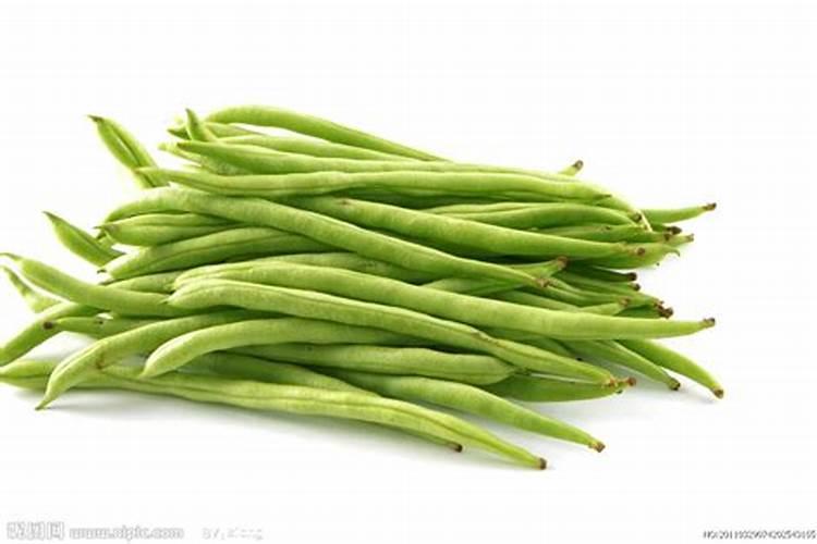 请问老师四季豆施什么肥料比较好谢谢