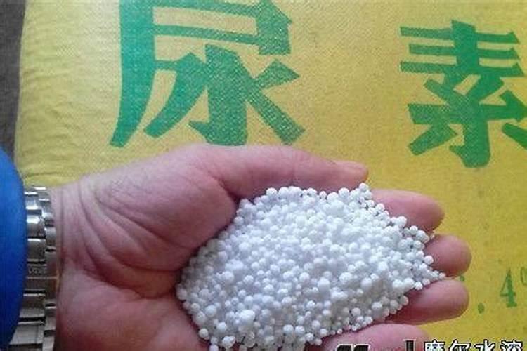花用氮肥有哪些