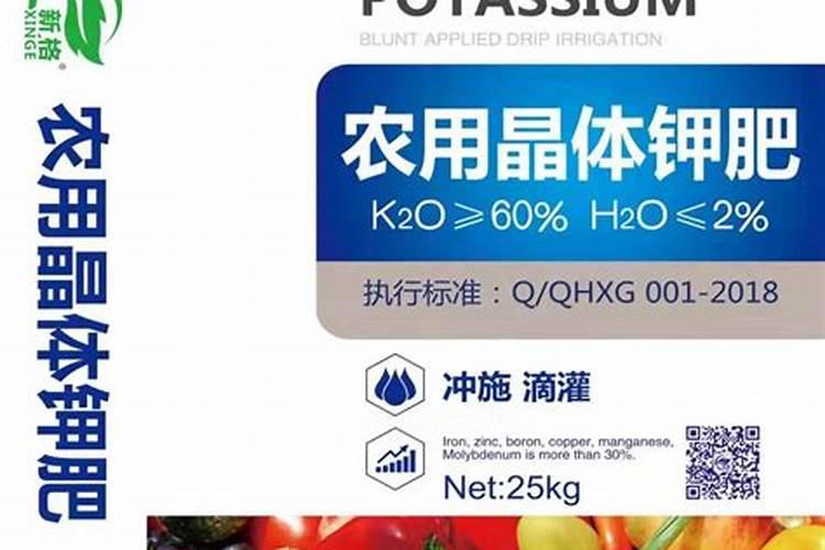 黄豆水可以浇蟹爪兰吗