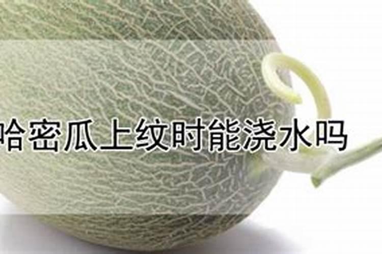 哈密瓜阴天可以追肥吗？