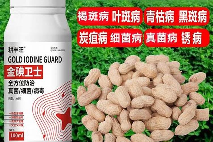 什么时候给豆子上面漆合适？