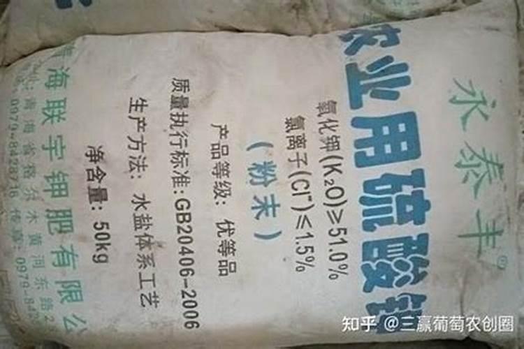 在柑橘谢花后,使用赤霉酸保果,造成大量落叶落果,如何补救