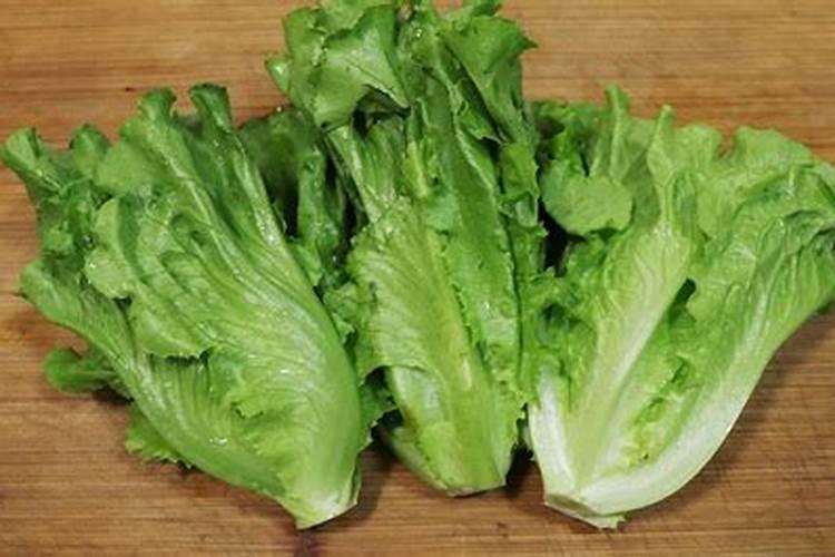 请问生菜软腐病怎么用药