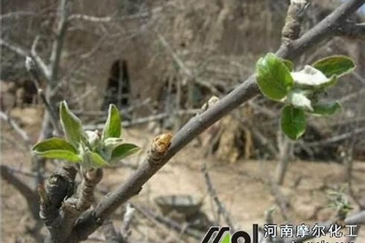 化肥属于什么行业分类