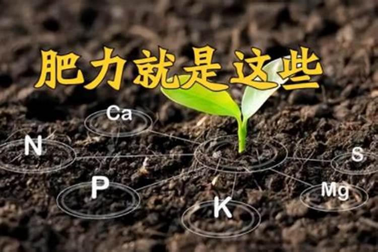 钾矿全球钾矿资源总量