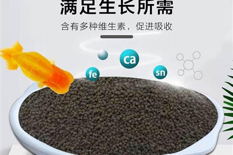 三角梅开花期间怎么施肥施什么肥
