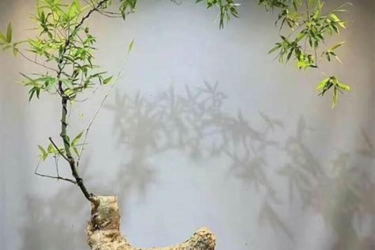 磷酸二氢钾和锌肥能混用吗