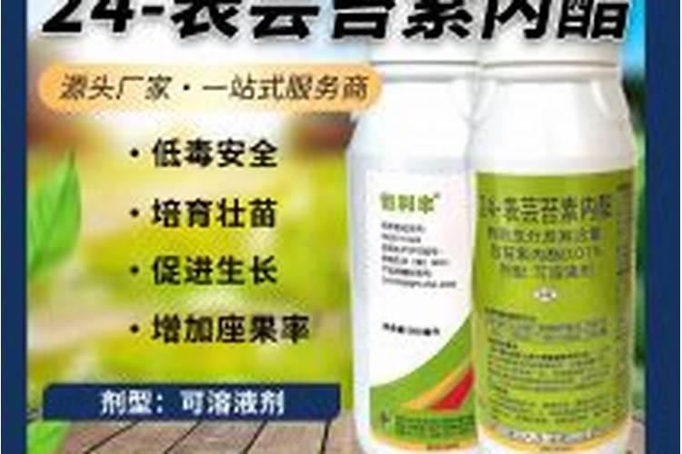 芸苔素多久喷一次,什么时候不能喷,什么情况下使用