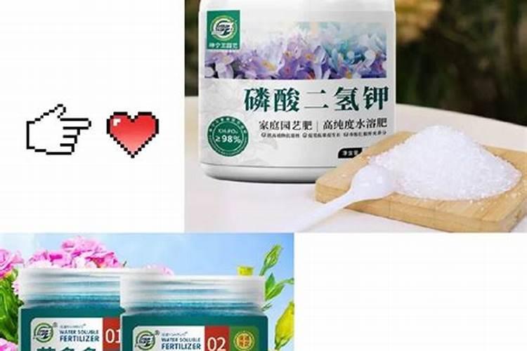 哪些花喜肥