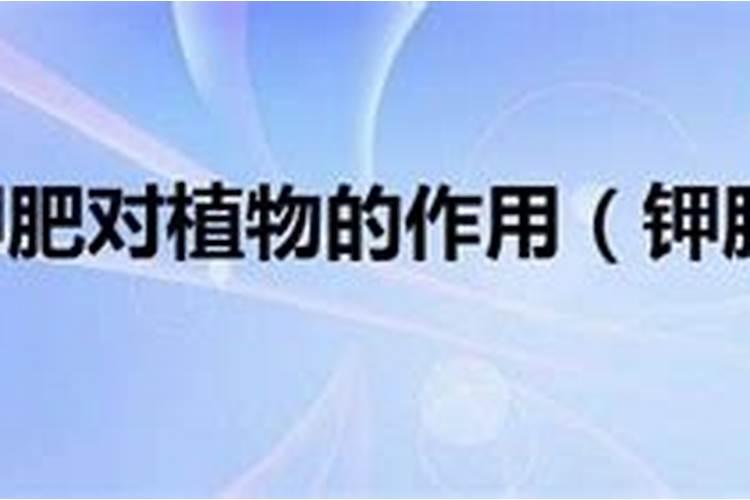 磷酸二氢钾适合哪些花