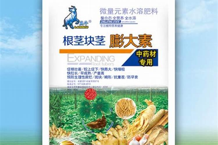 大丽花块茎怎样种植