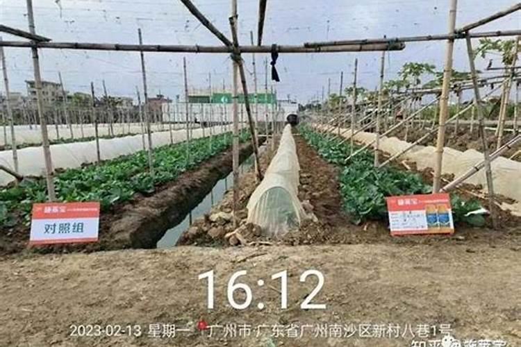 打完叶面肥再追尿素可以不？