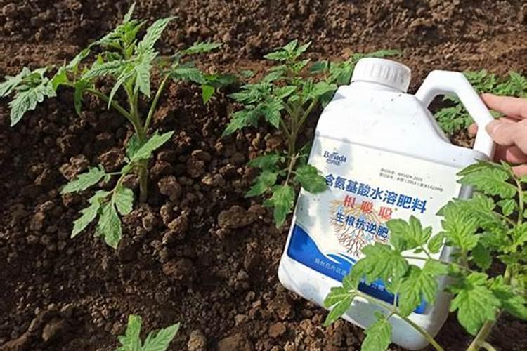 植护抽纸厂家在哪里