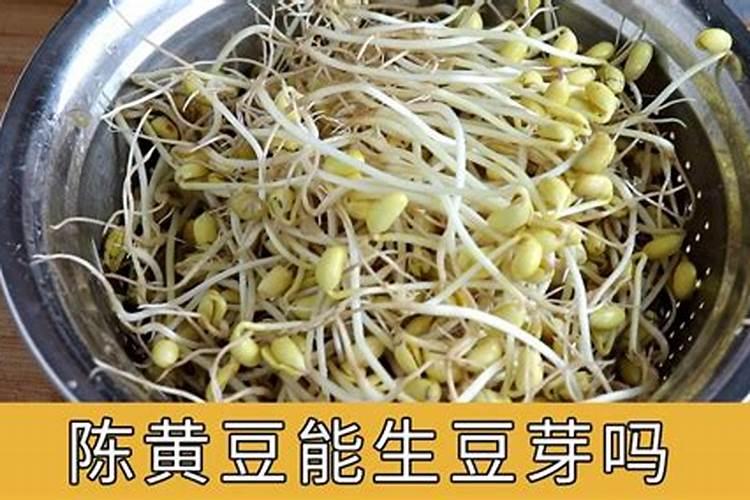 茶叶叶面肥用什么最好