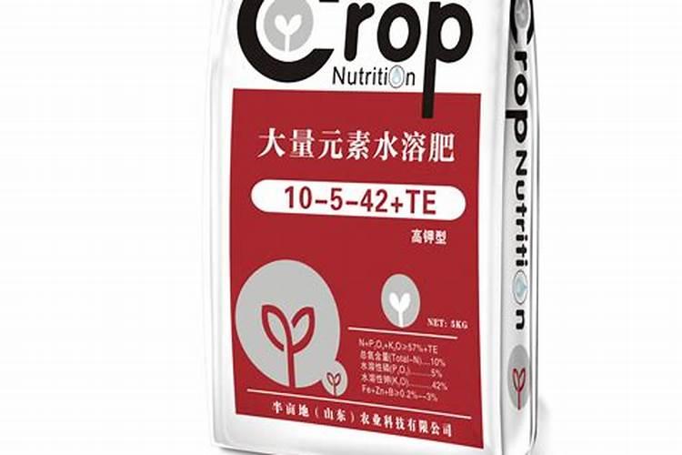 三角梅施什么肥料好,控水后怎么施肥
