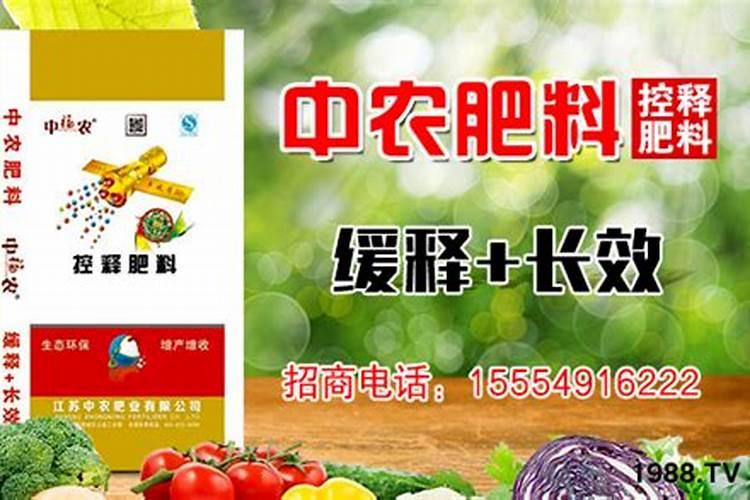 西红柿喷什么叶面肥最好