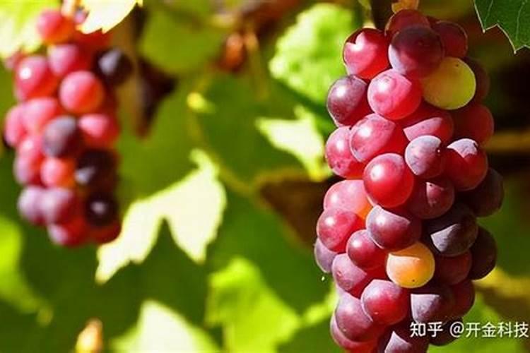 种小麦一会地用一包碳铵和一包磷肥可以吗？