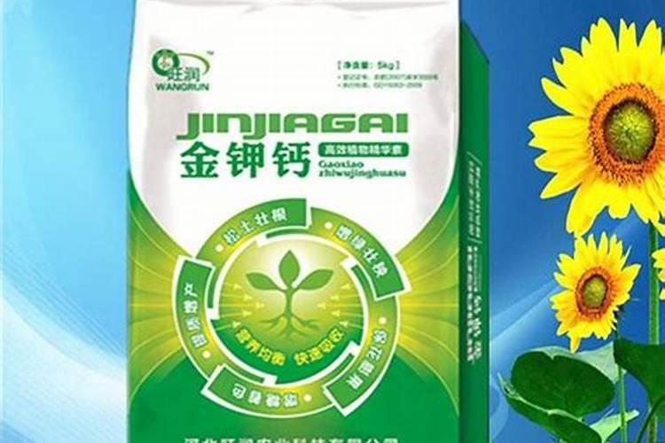 西红柿需要什么肥料