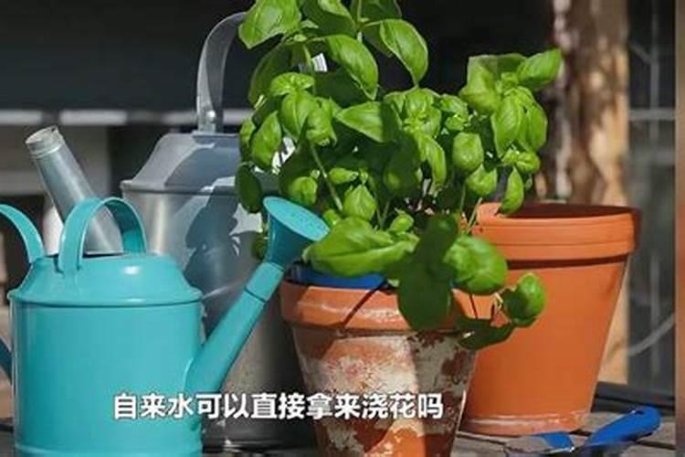 香灰可以做花的肥料吗