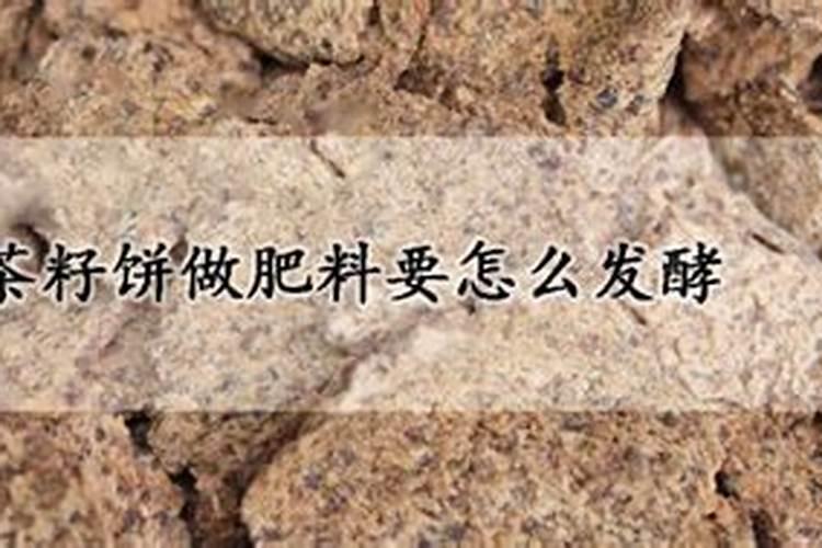 茶籽饼做肥料要怎么发酵