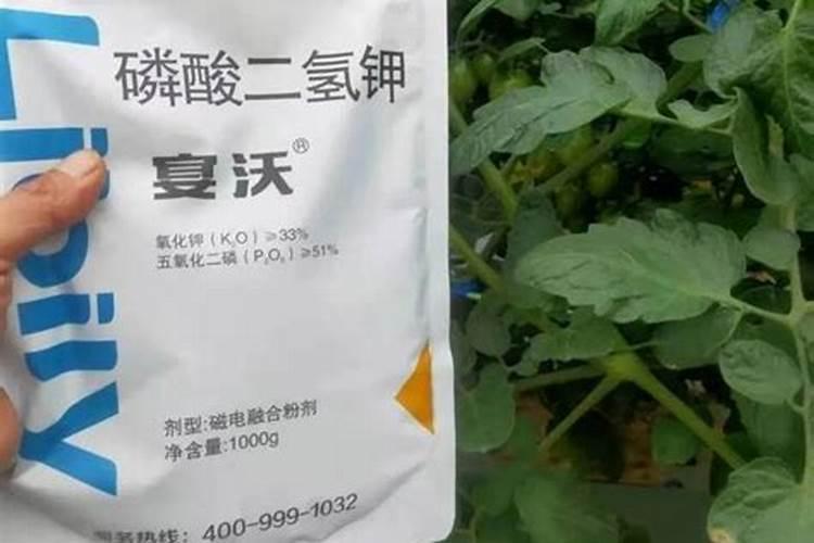钾肥哪个好