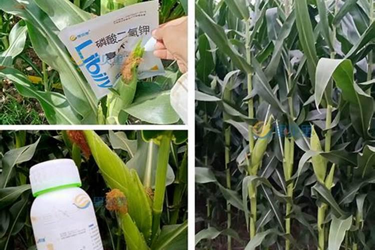 红小豆能喷叶面肥吗能用黄豆的叶面肥吗？