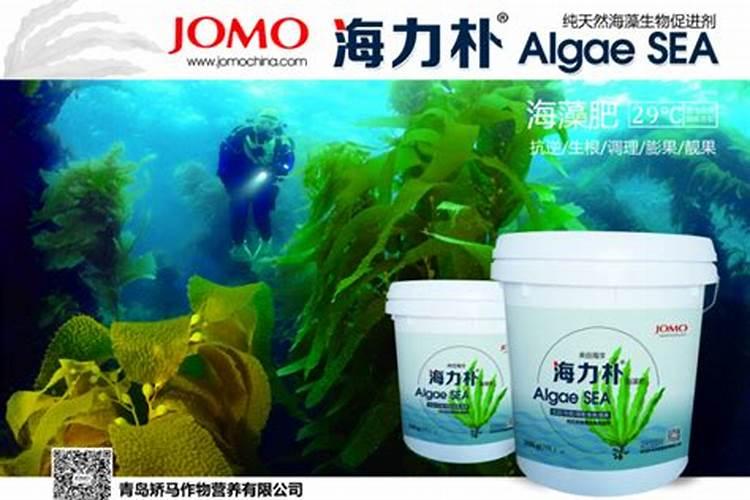 海藻肥浇花可以长期用吗？