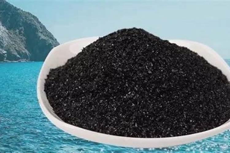 海藻肥属于什么肥料 附使用方法