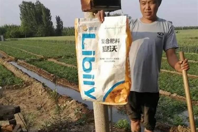 哪种钾肥好