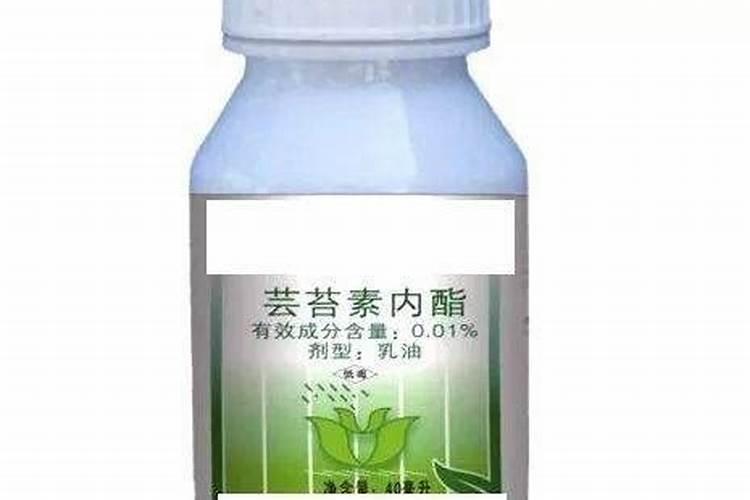 芸苔素对植物生长有什么作用？