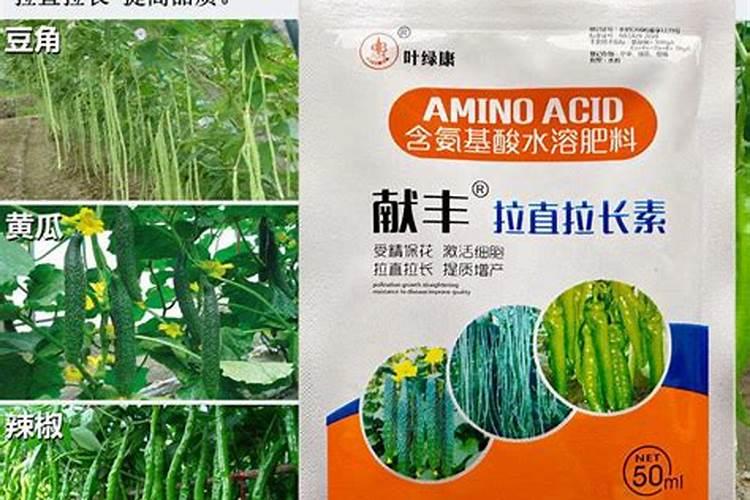 豆角用什么肥料效果好(种植豆角结果期需要什么叶面肥)