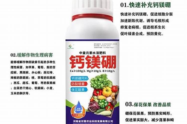 月季夏季换盆注意事项月季换土换盆具体步骤