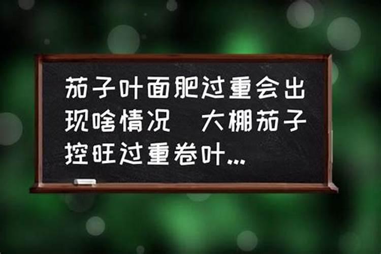 茄子增产小技巧:整枝摘叶和补光!茄子增产种植管理技术