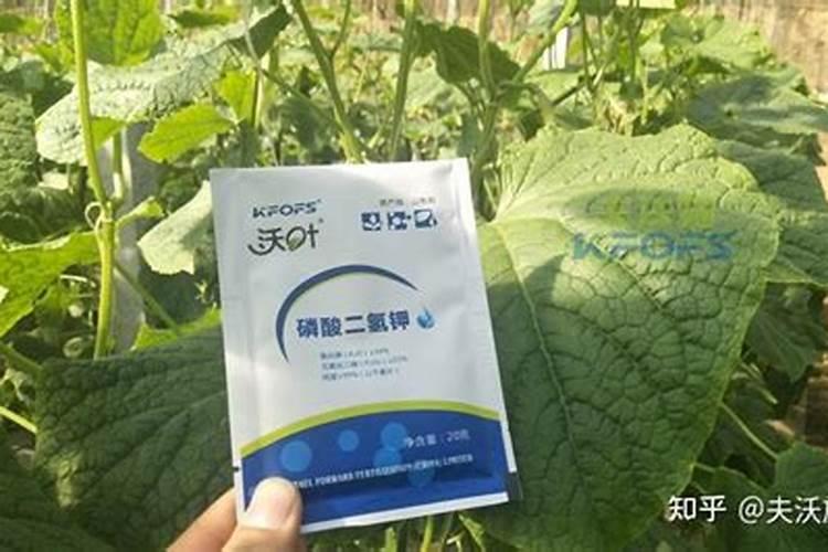 花生麸怎样沤制肥水