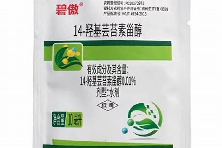 盆栽石榴用什么肥料最好