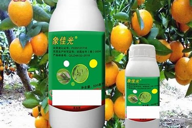 广西垂青旺财好懒人肥(柑橘)一桶价格多少？