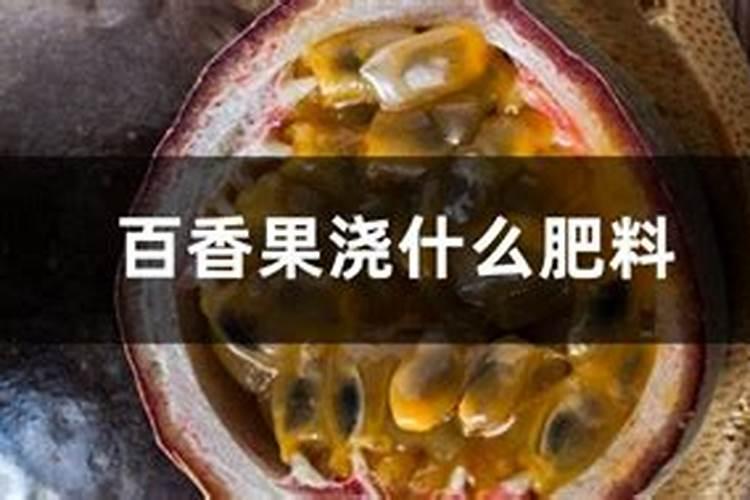 紫薇花施什么肥