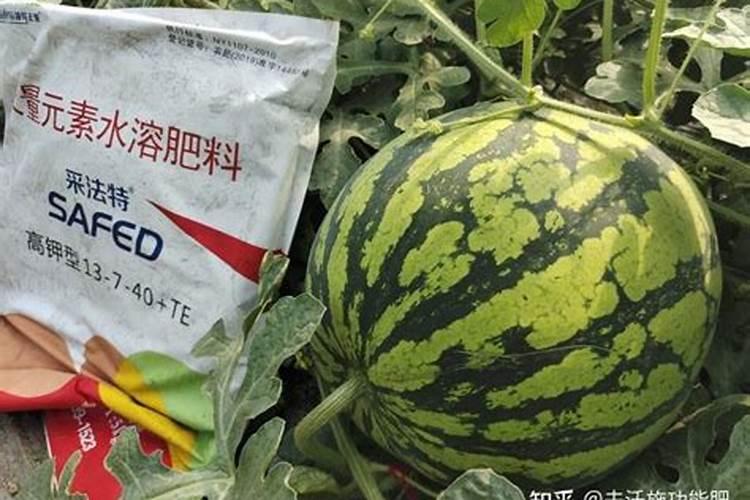 种西瓜用什么什么牌的硫酸钾复合肥好