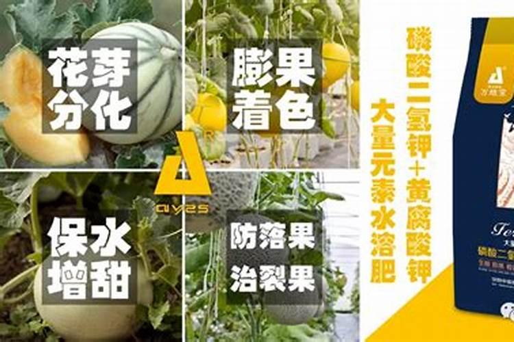 水溶复合肥在西瓜什么阶段使用？