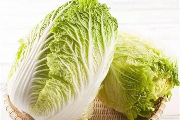 大白菜可以追尿素吗？