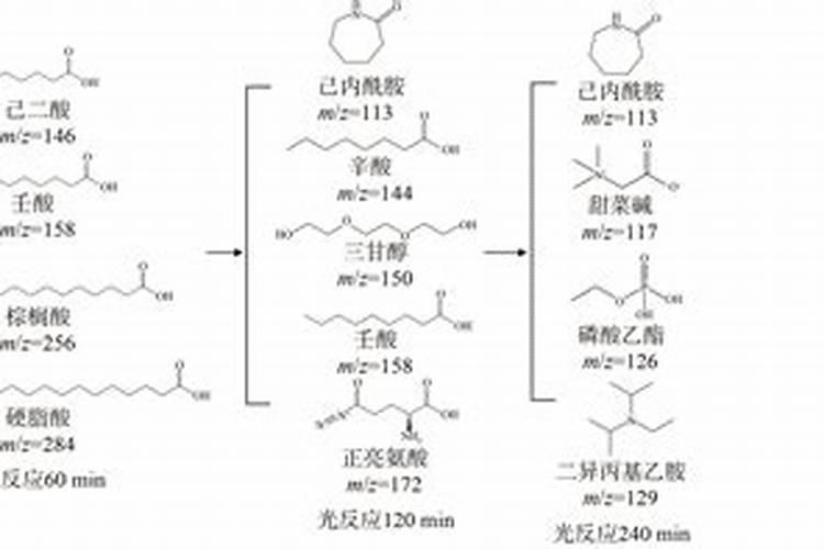 新收的马铃薯用水浇可以吗？