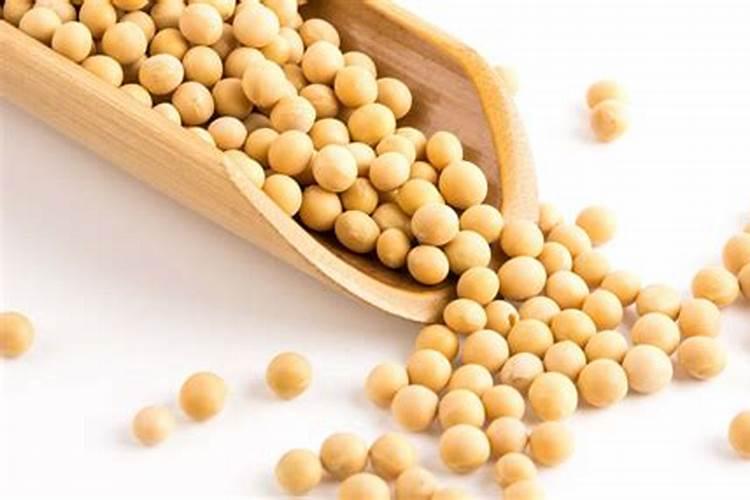 花盆里加什么肥料,容易提高植物的生长活性？