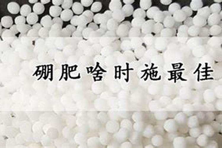 棉花施肥时要不要加入锌肥