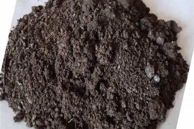 水溶肥的前景真的那么好么？