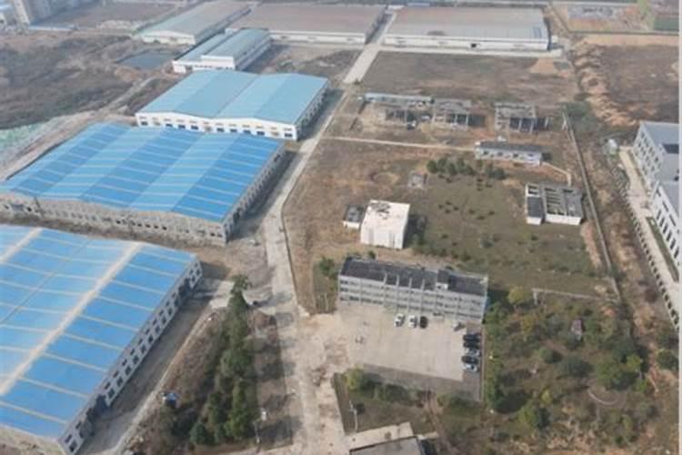 冲施肥哪个品牌好