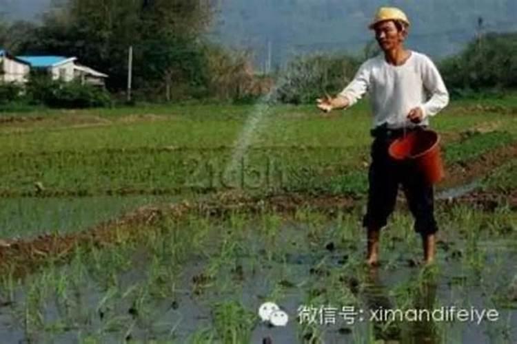 淄博哪个县小化工厂最多