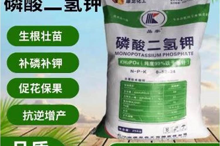 1亩有机水稻成本是多少