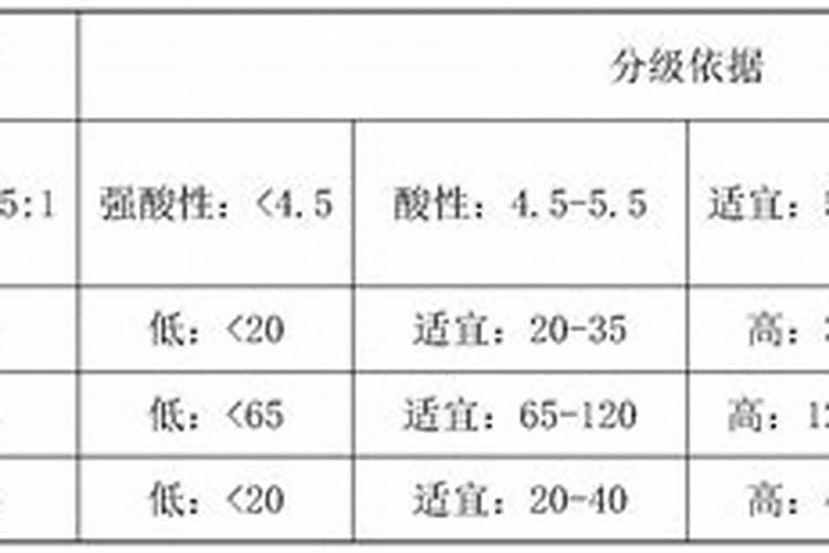 云南富源二代白魔芋种植效益怎么样