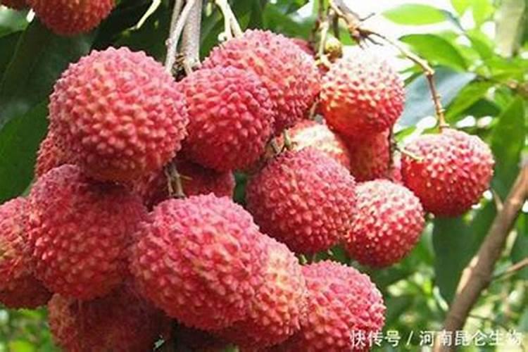 硼肥可以与钙镁磷肥混合用吗？