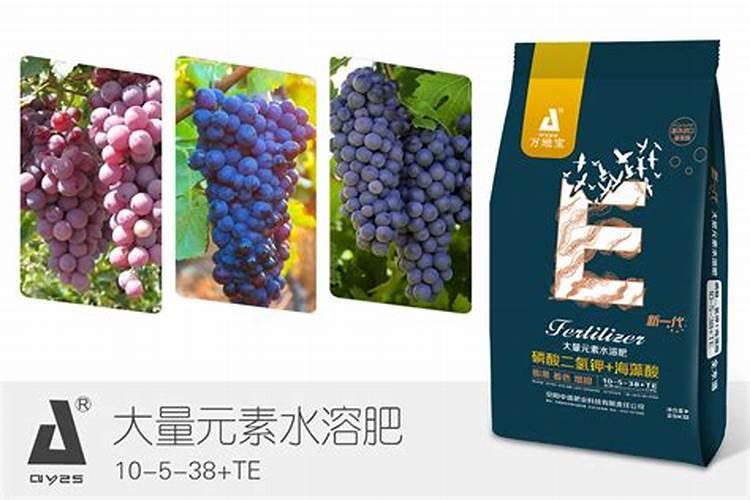 玉米种植成本多少一亩 一亩利润多少